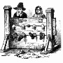 New History Pre-Law program