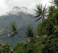 Study Abroad with the Philosophy Department in Cosa Rica