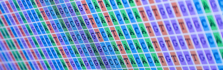 Dna sequence